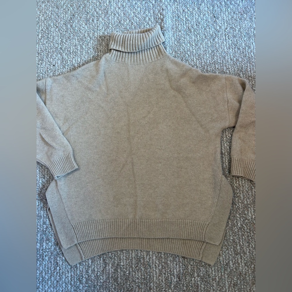 Cozy cashmere Turtleneck Sweater